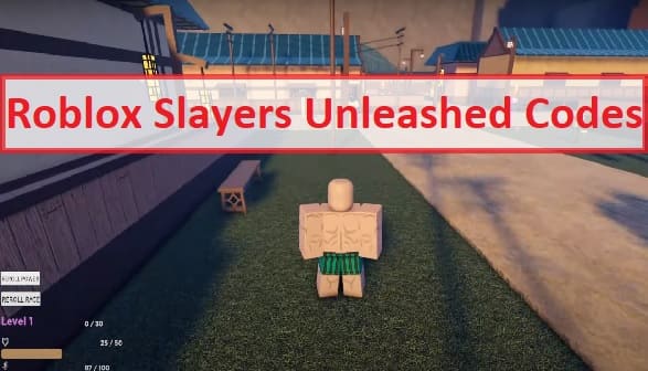 Slayers Unleashed Codes