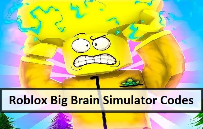 Roblox Big Brain Simulator Codes 