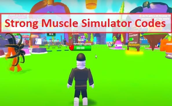 Strong Muscle Simulator Codes